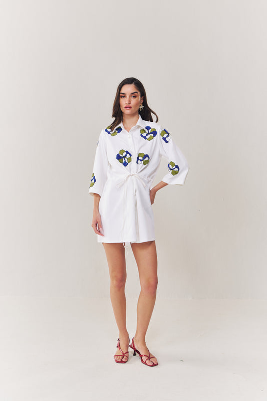 Moonlit shirt dress