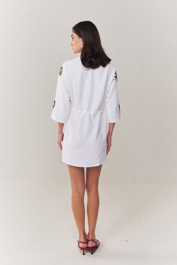Moonlit shirt dress