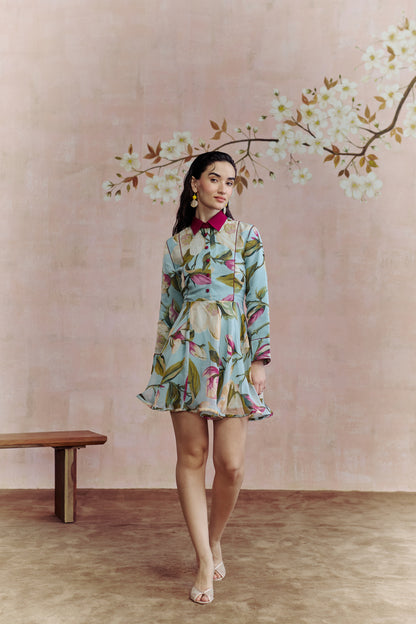Magnolia flared mini dress