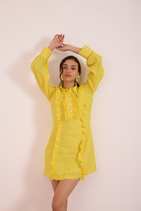 Lemon Love Shirt Dress