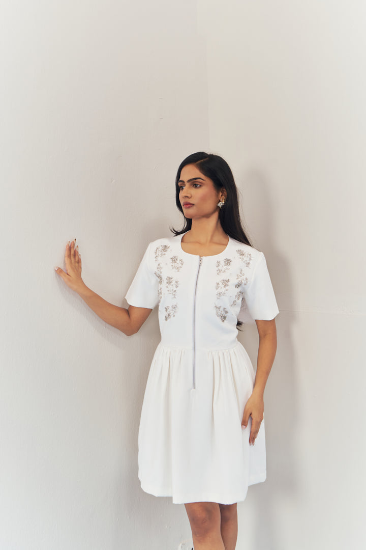 Moonlit embroidered dress with sleeves