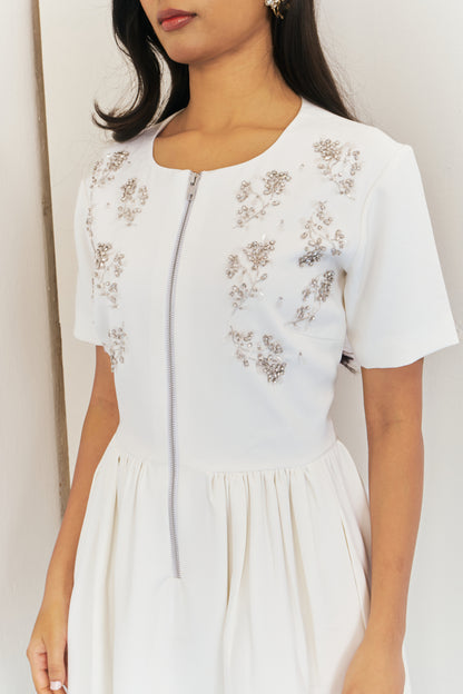 Moonlit embroidered dress with sleeves