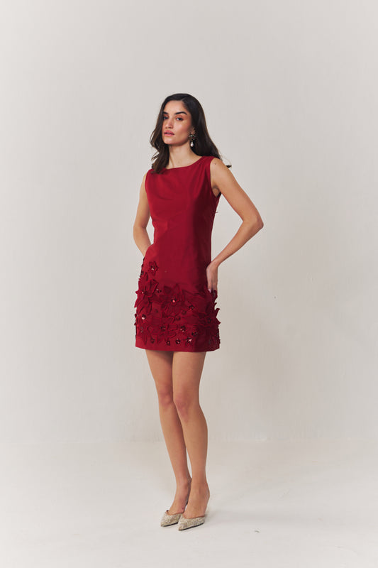 Valentina embroidered A line dress